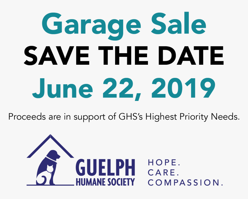 Webpage Png, Transparent Png