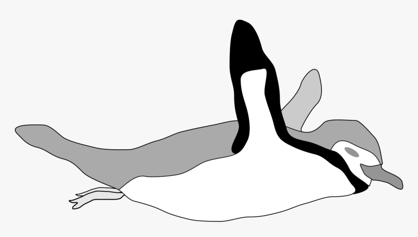 Photography, HD Png Download