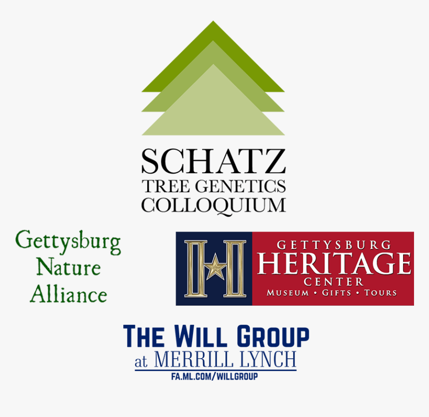 Webpage Png, Transparent Png