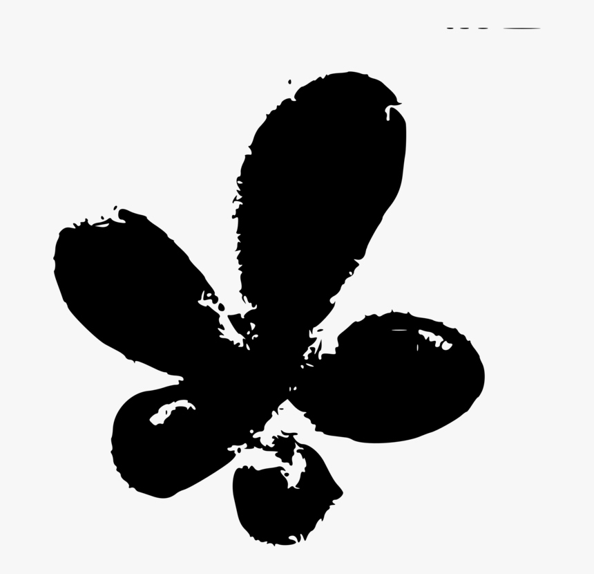 Photography, HD Png Download