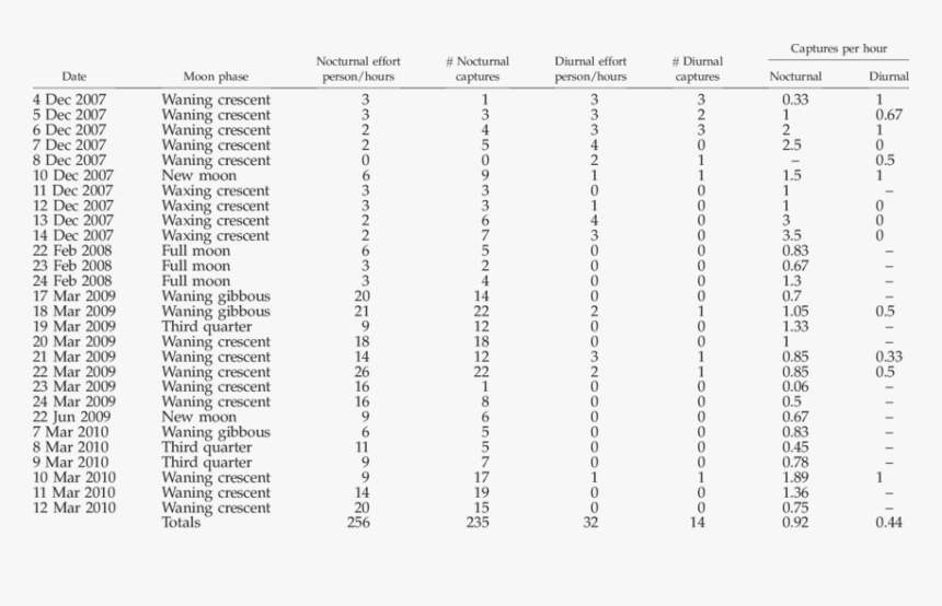 Moon Phase Png, Transparent Png