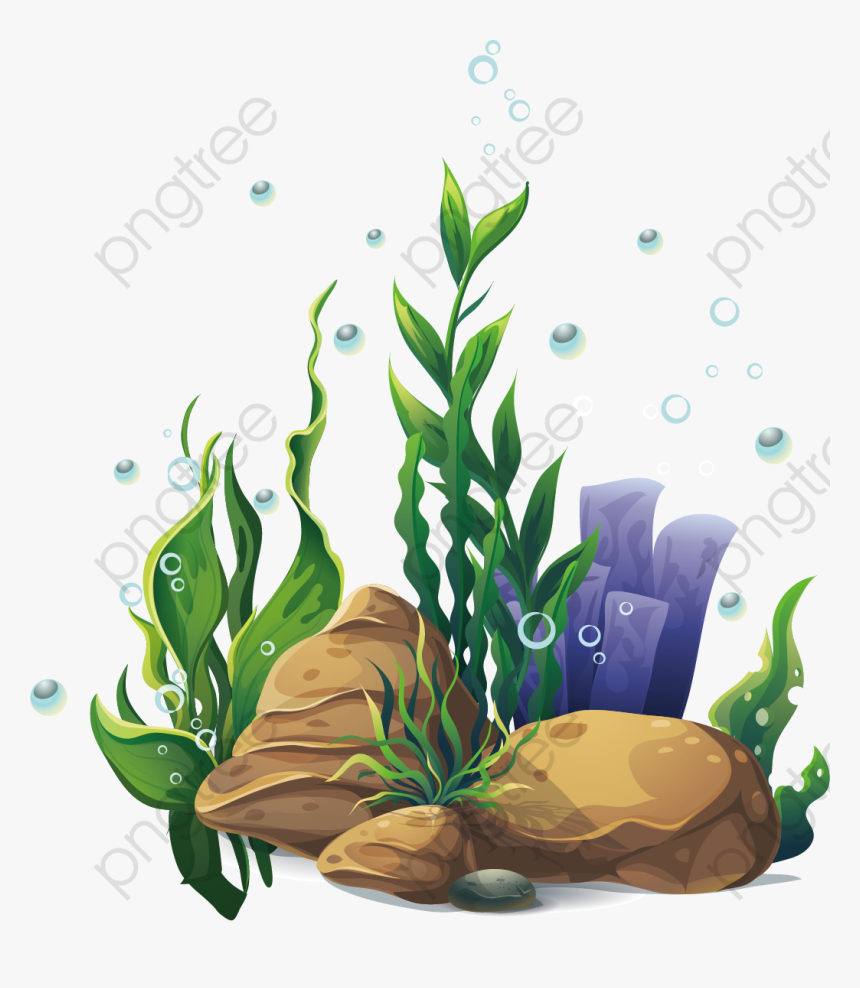 Submarine Plant Seabed Png, Transparent Png