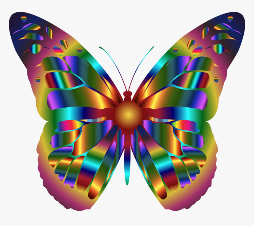 Monarch Butterfly Insect Swallowtail Butterfly Rainbow, HD Png Download