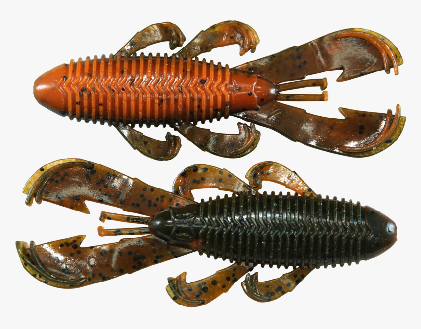 Bandito Bug 
 Class Lazyload Lazyload Fade In Cloudzoom, HD Png Download