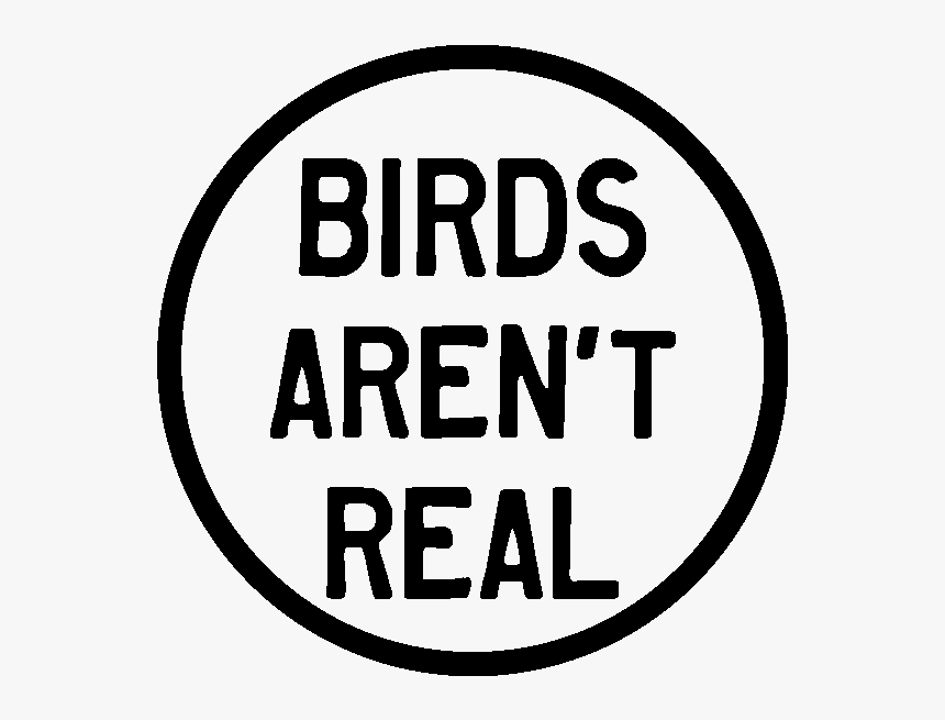 Real Rainbow Png, Transparent Png