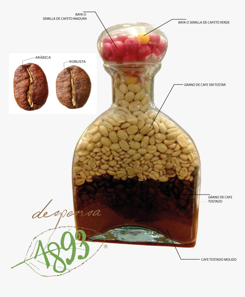 Transparent Granos De Cafe Png, Png Download