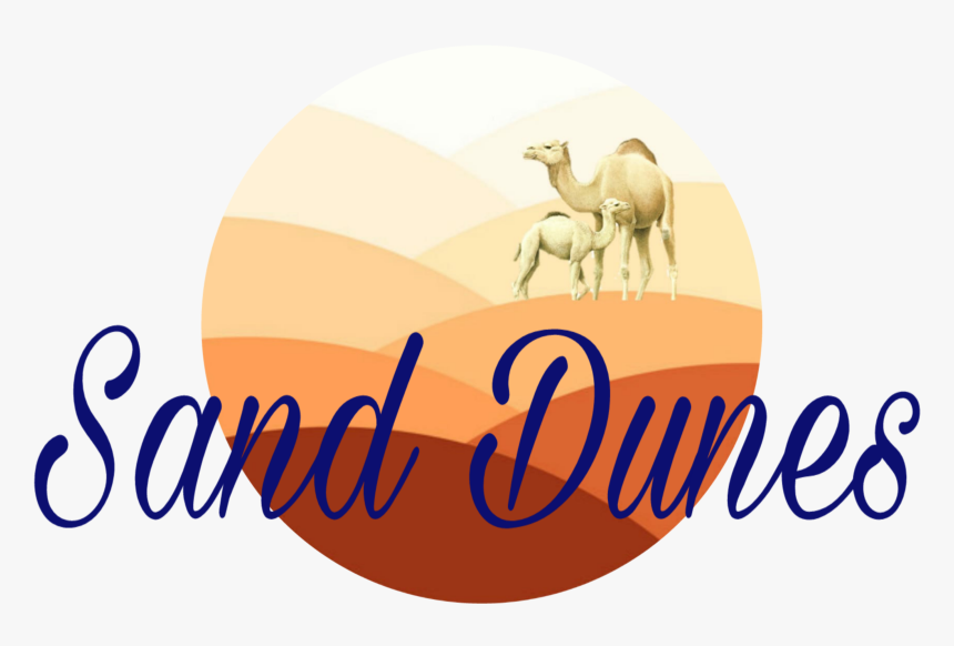 Transparent Sand Dunes Png, Png Download