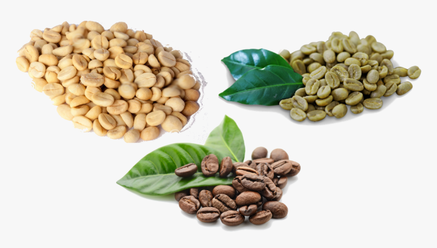 Granos De Cafe Png, Transparent Png