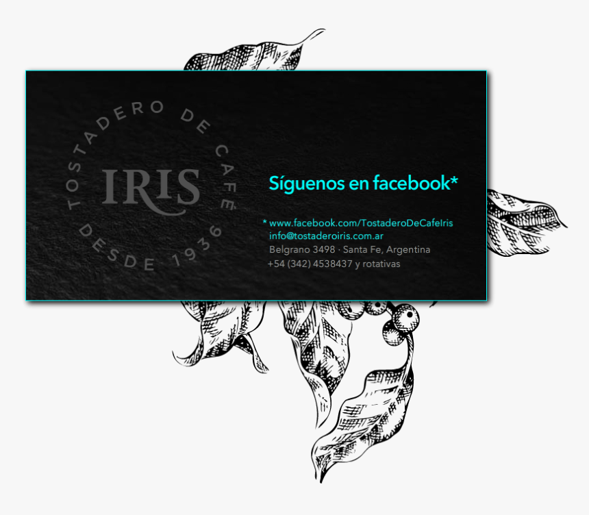 Granos De Cafe Png, Transparent Png