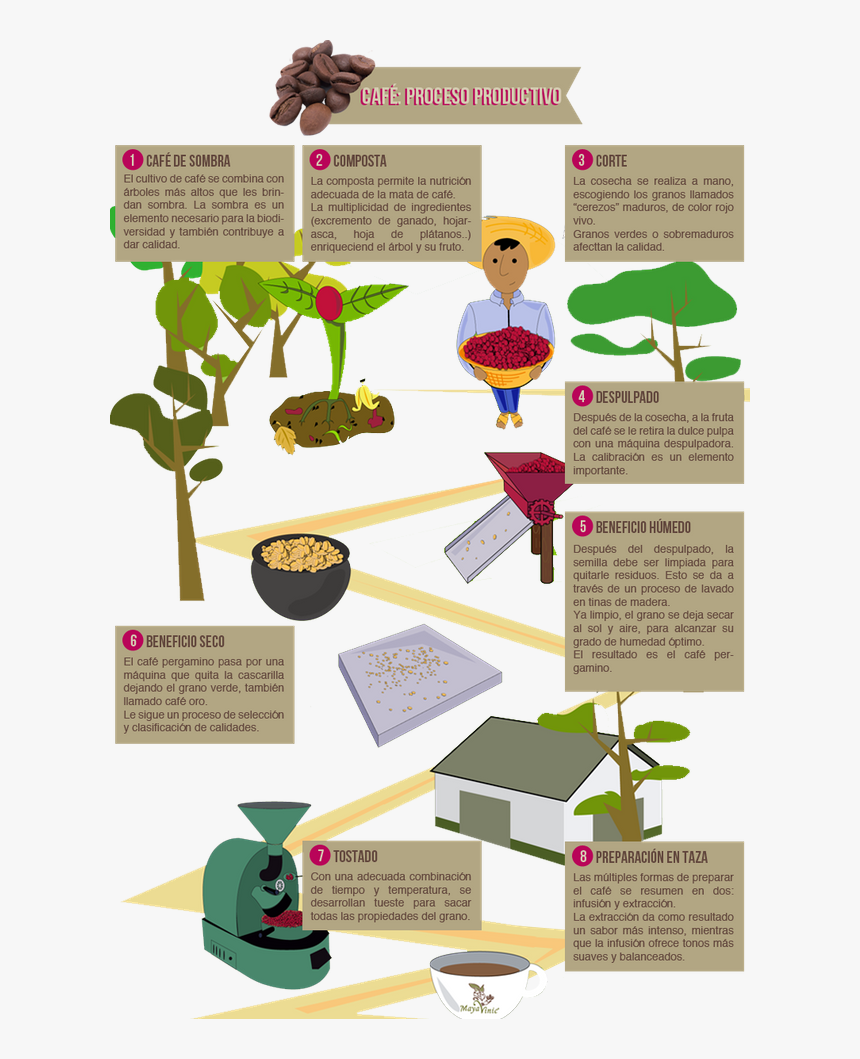 Granos De Cafe Png, Transparent Png