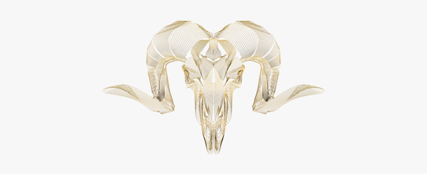 Gold Skull Png, Transparent Png