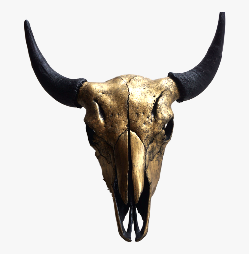 Gold Bison Skull, HD Png Download