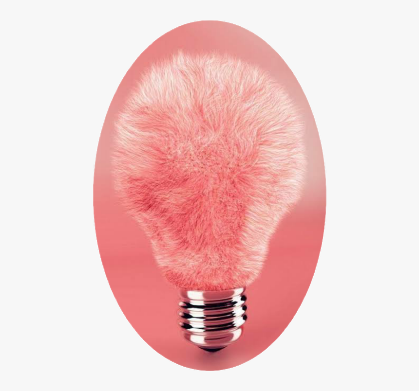 Peluche Bombilla Foco Pink Rosado Freetoedit Sclightbulb, HD Png Download