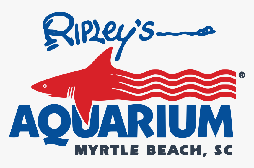 Aquarium Png, Transparent Png