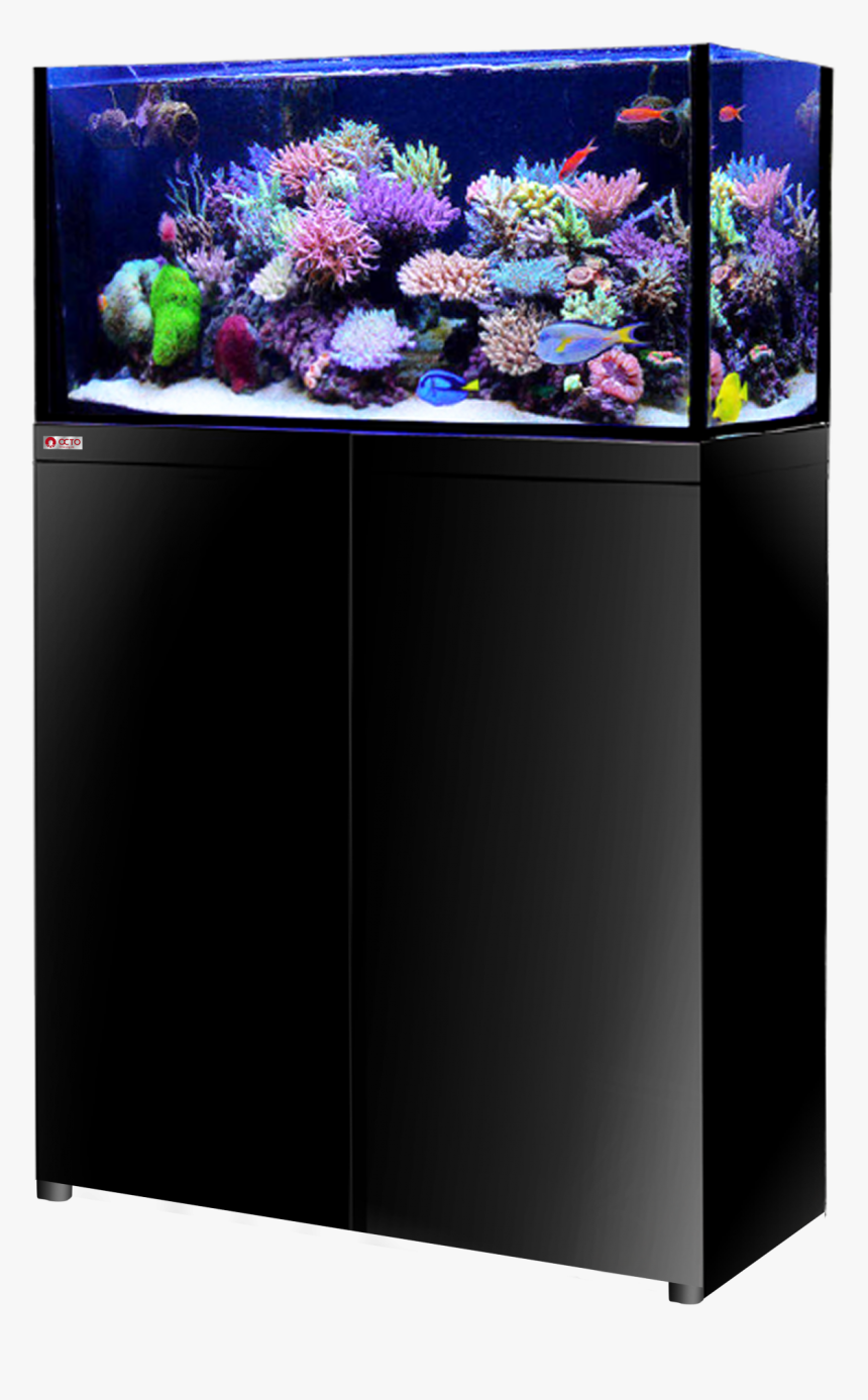 Aquarium Png, Transparent Png