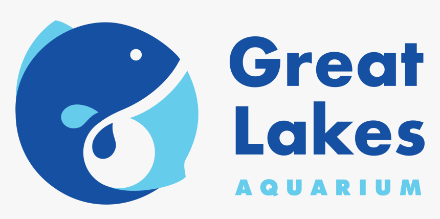 Aquarium Png, Transparent Png