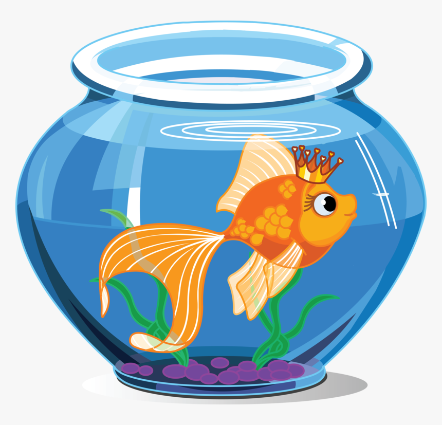 Aquarium Background Transparent, HD Png Download