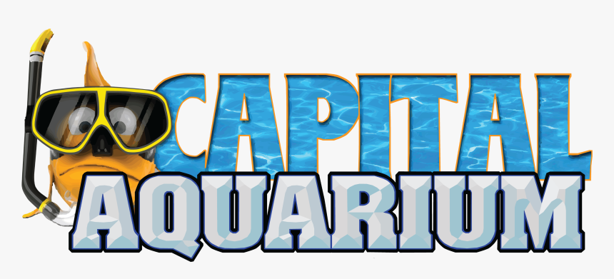 Best Aquarium Maintenance Companies Innorthern Va, HD Png Download