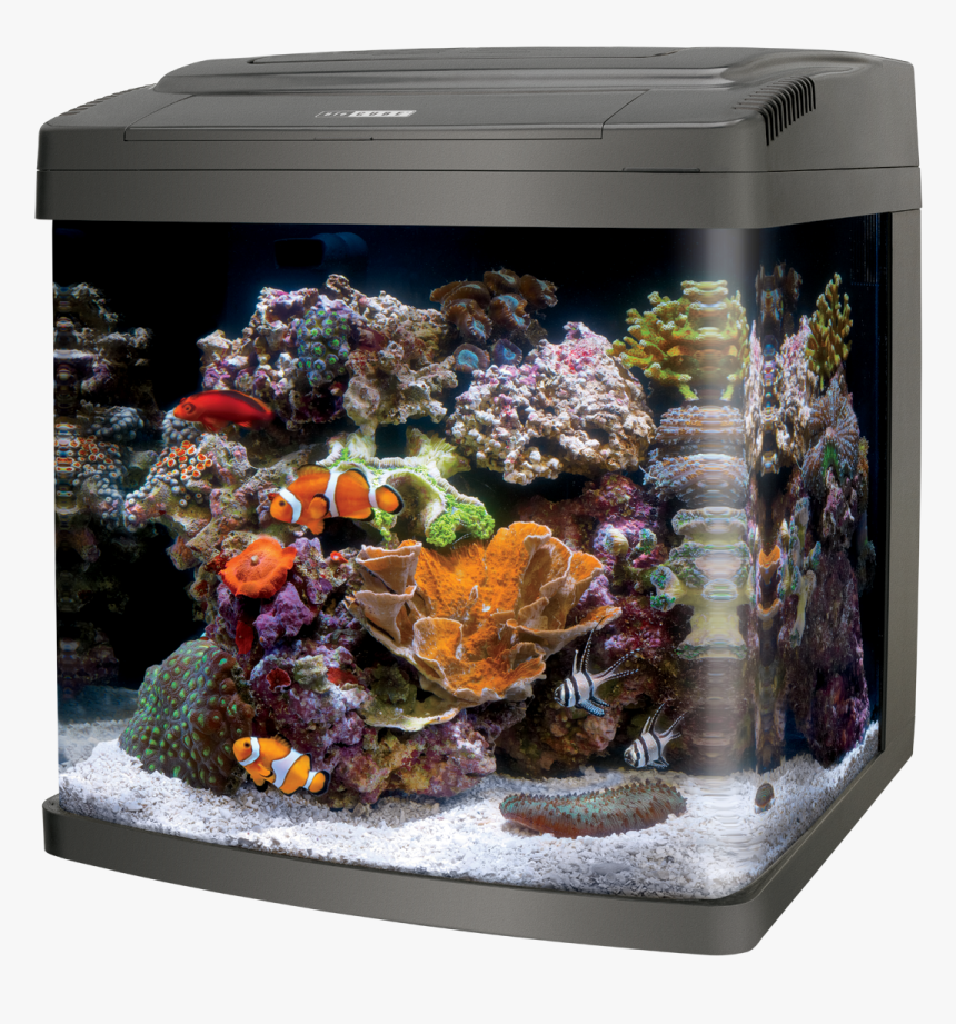 Coralife Biocube 29 
 Class Lazyload Lazyload Mirage, HD Png Download