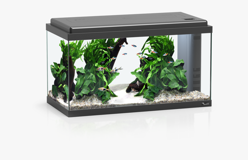 Aquarium 60 Led Bio, HD Png Download