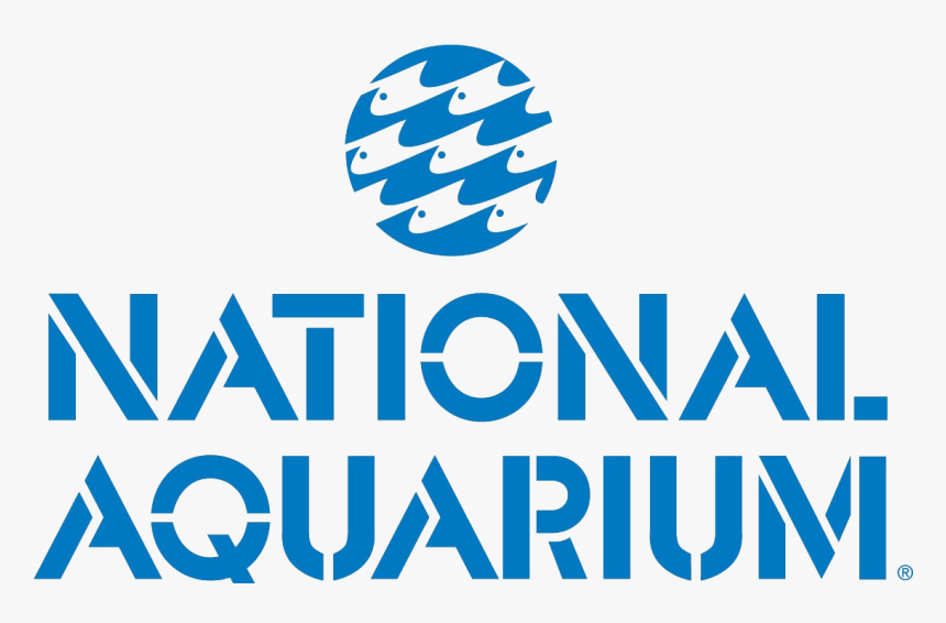 Aquarium Png, Transparent Png