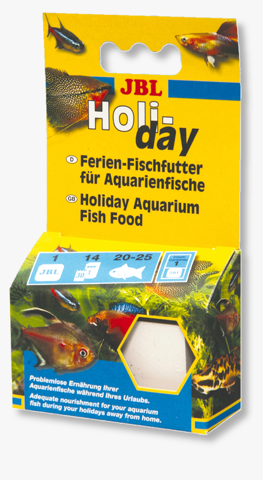 Aquarium Png, Transparent Png