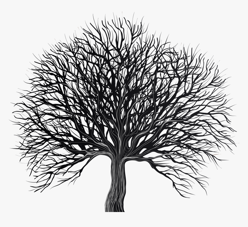 Art Clip Gallery Yopriceville, HD Png Download