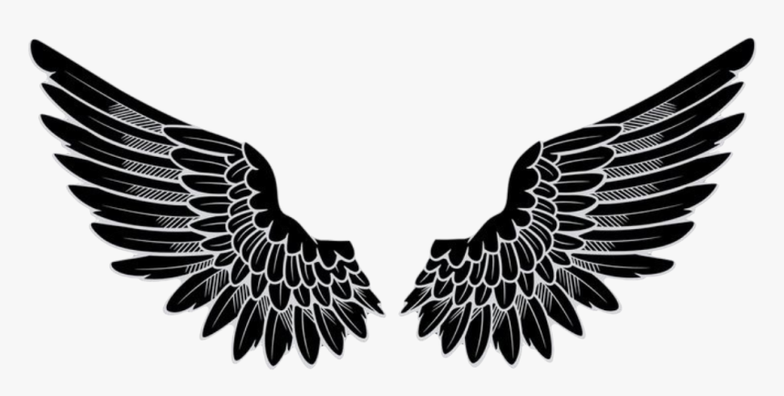 Angel Wings Logo Png , Png Download, Transparent Png