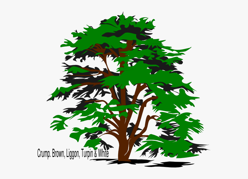 Tree Art Png, Transparent Png