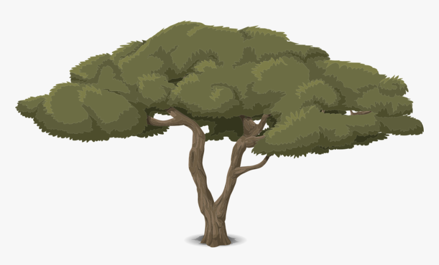 Tree, Art, Artwork, Trunk, Cartoon, Nature, Leaves, HD Png Download