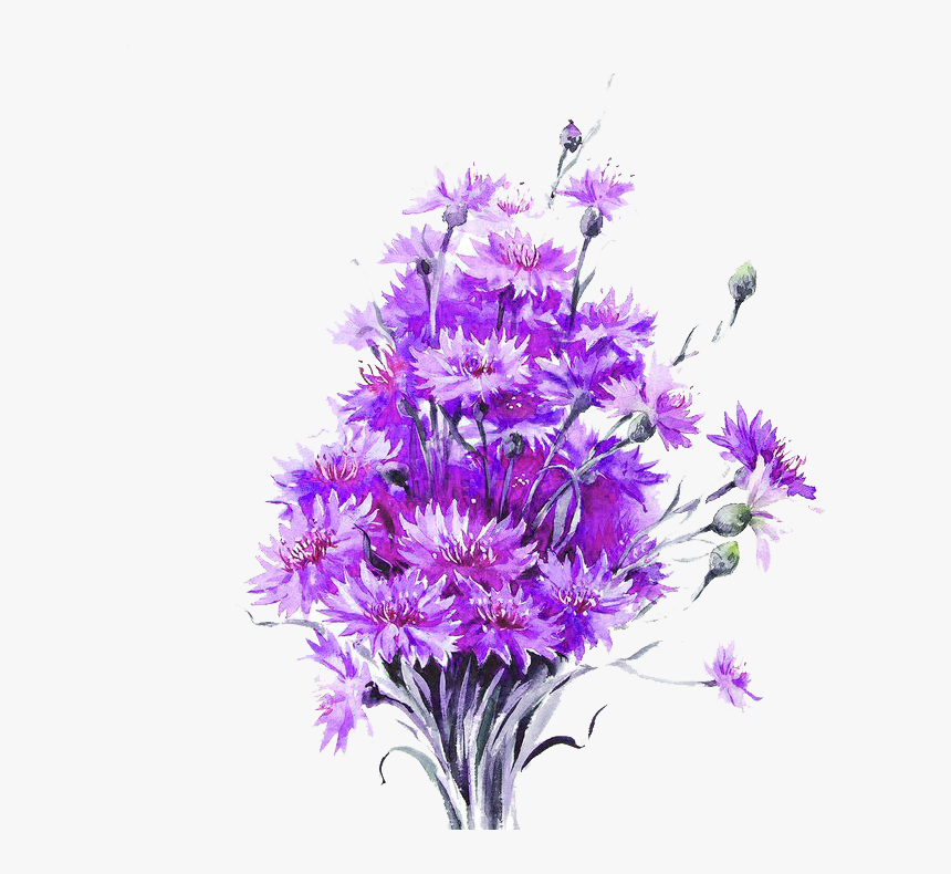Drawn Bouquet Lavender Plant, HD Png Download