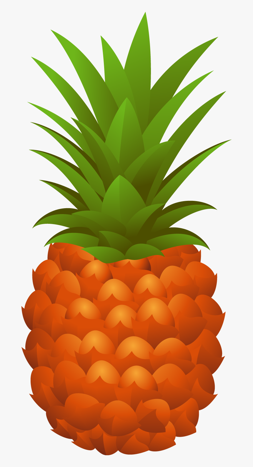 Vector Pineapple Png Download, Transparent Png