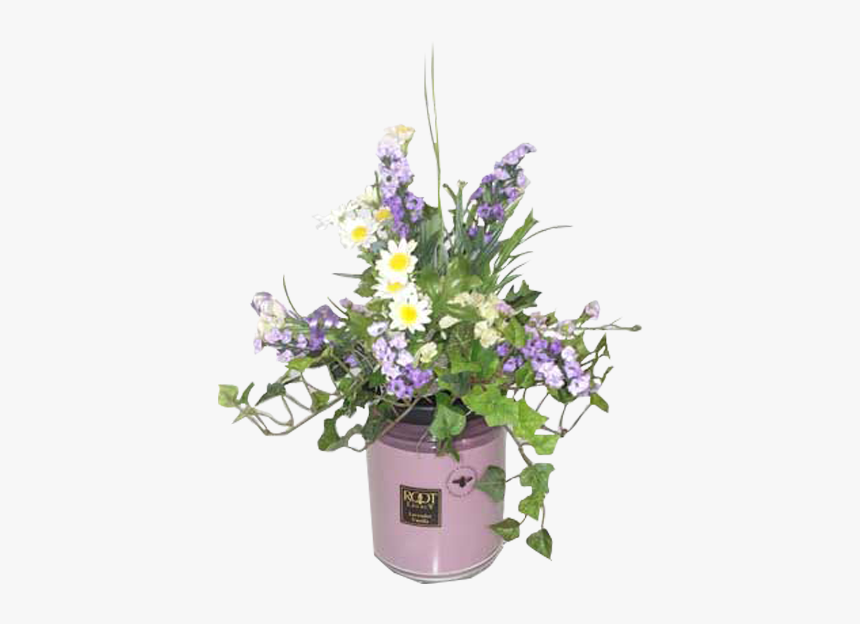 Lavender Plant Png, Transparent Png