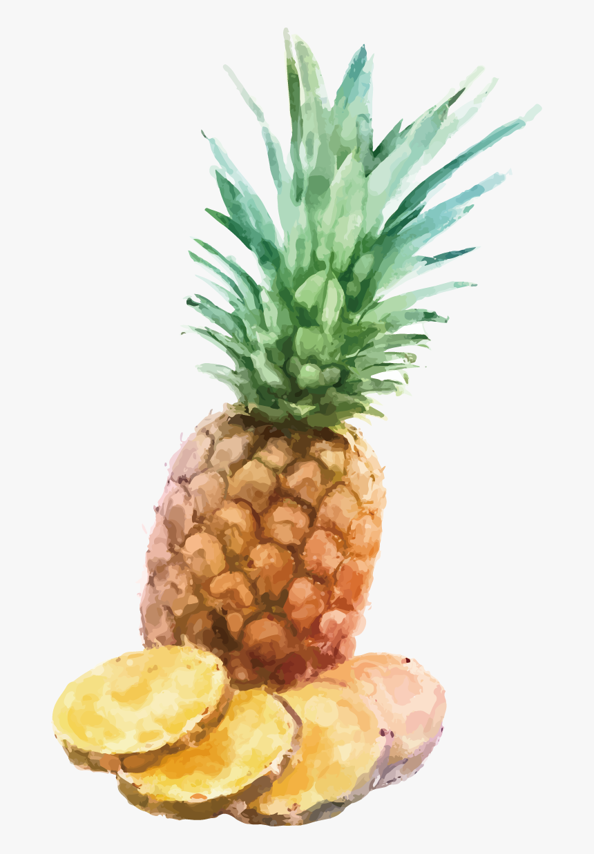 Fresh Pineapple Slices, HD Png Download
