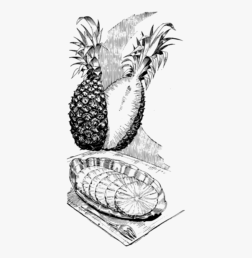 Sliced Pineapple, HD Png Download
