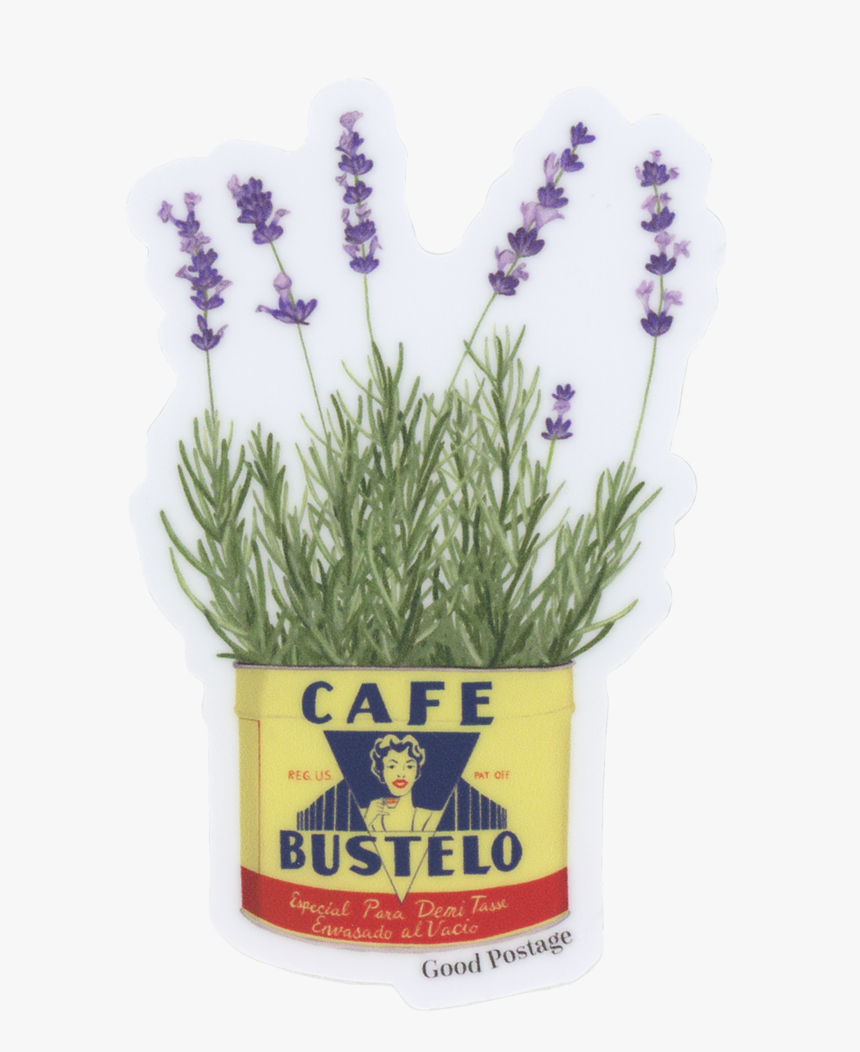 Lavender Plant Png, Transparent Png