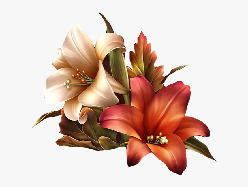 Amaryllis Drawing Christmas Flower Huge Freebie Download, HD Png Download