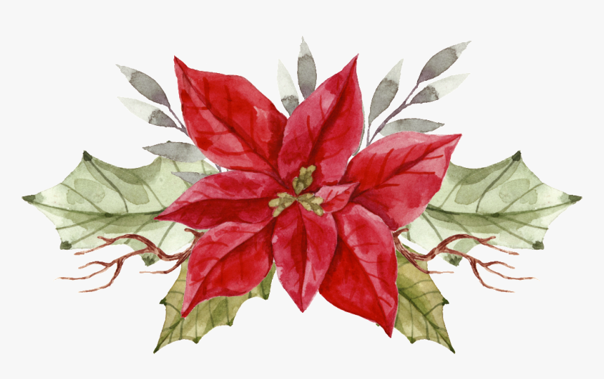 Painted A Christmas Flower Png Transparent, Png Download