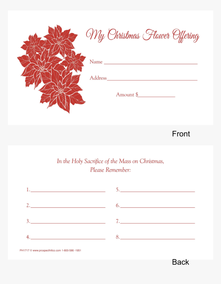 Christmas Flower Png, Transparent Png