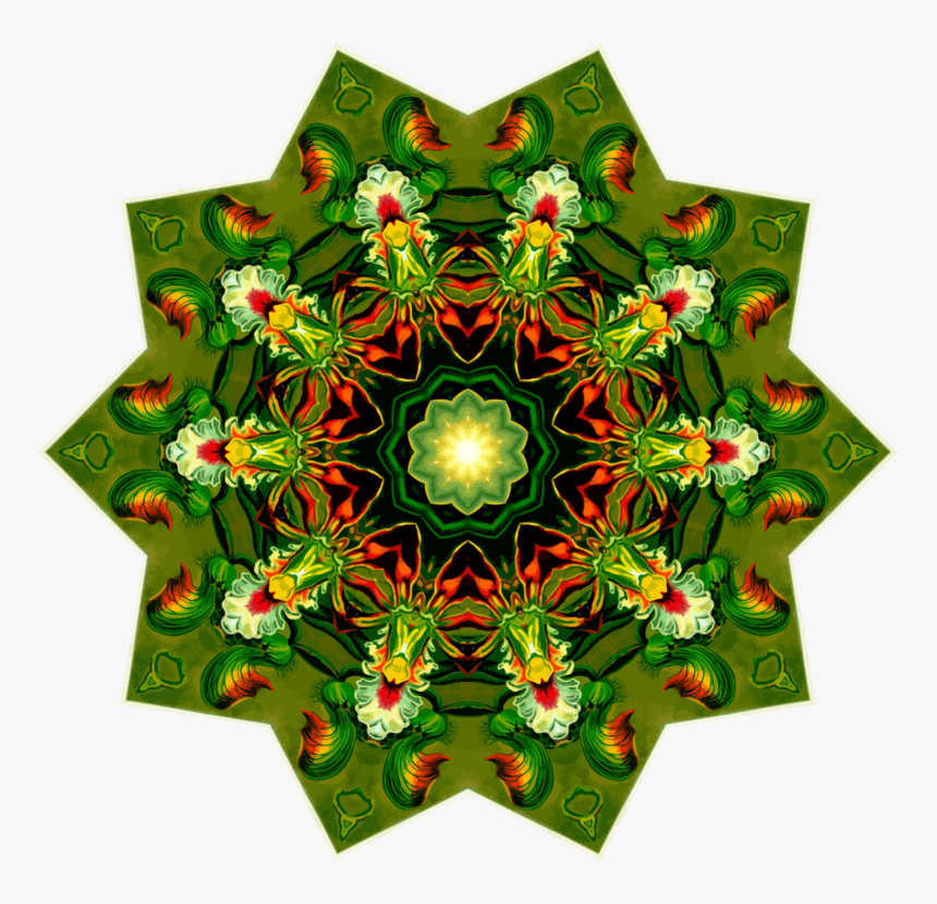 Plant,christmas Ornament,flower, HD Png Download