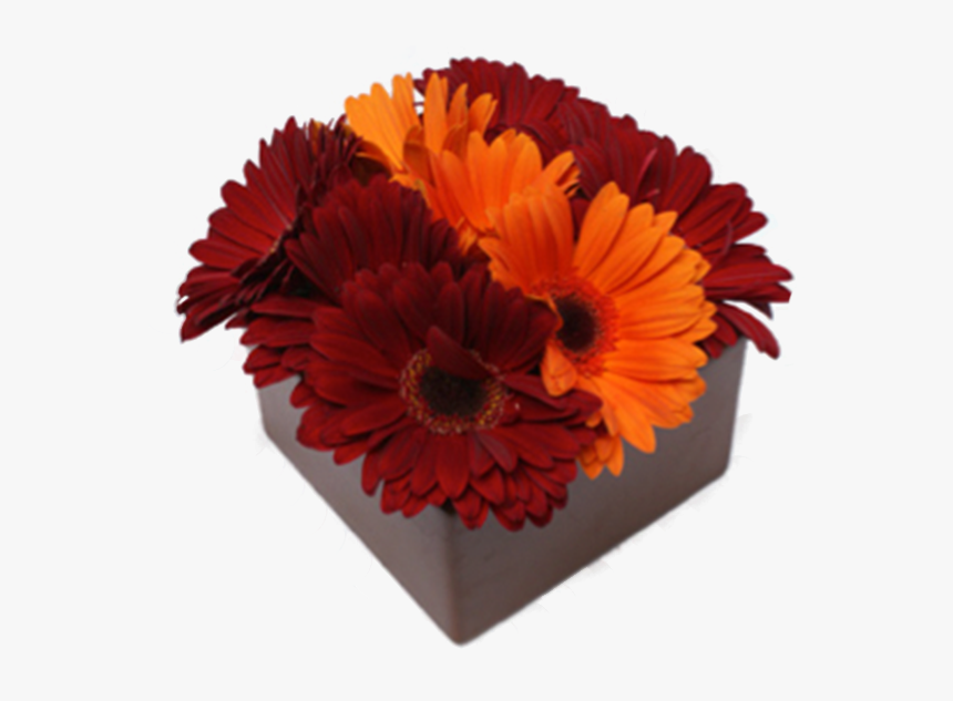 Christmas Flower Png, Transparent Png