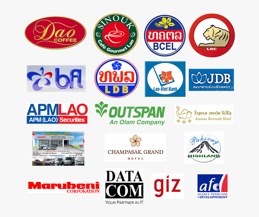 Laço Png, Transparent Png