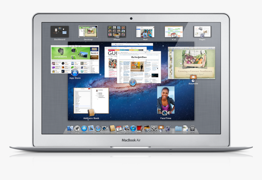 Apple Store Goes Down, Are Those Lion Paw-prints, HD Png Download