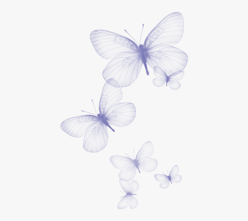 Clip Art Borboletas Lil S Imagens, HD Png Download