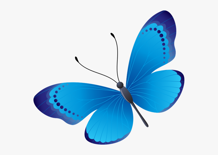 Бабочка, Насекомое, Butterfly, Insect, Schmetterling,, HD Png Download