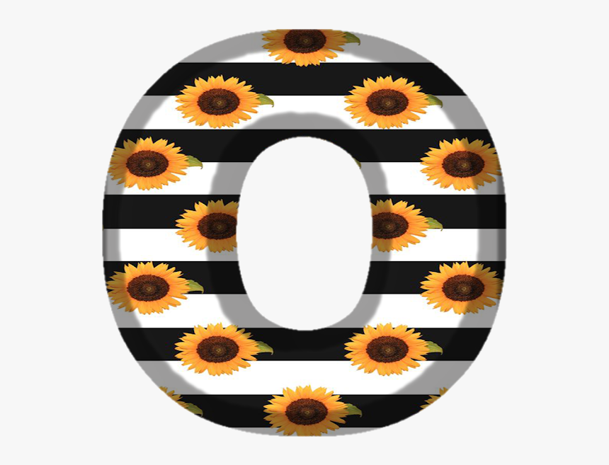 Laço Png, Transparent Png