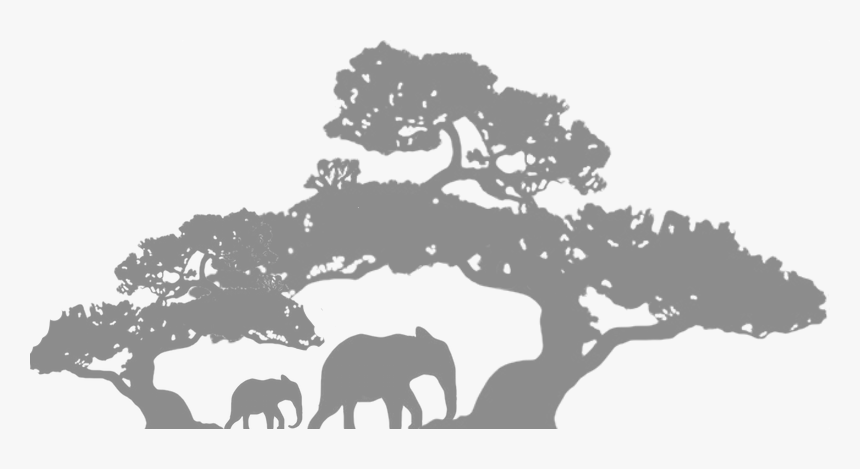 Laço Png, Transparent Png