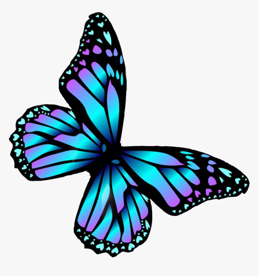 #borboleta #burterfly #árcoíris #arcoiris #arco Iris, HD Png Download