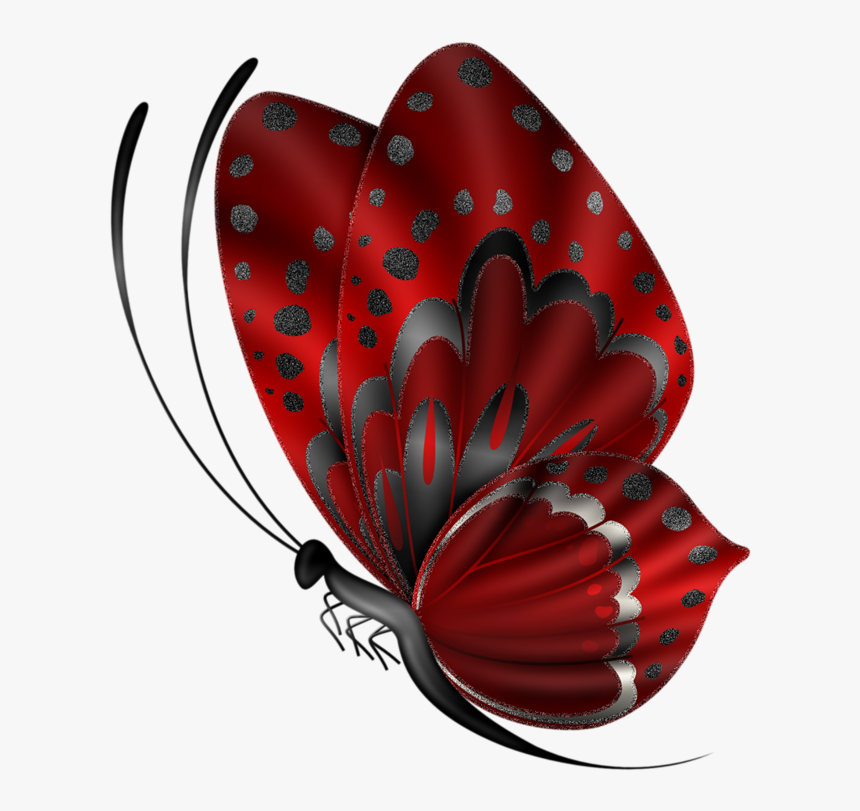 Borboleta Png, Transparent Png