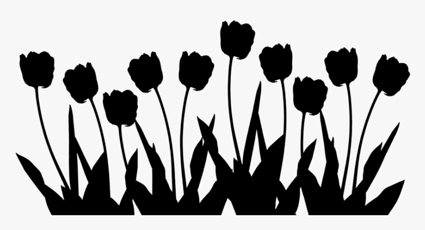 Irrigation Jobs Tulip Desk Invitation Lighting, Northland, HD Png Download